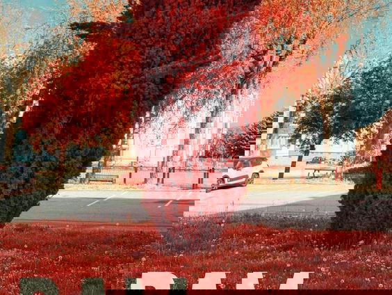 Het gesprek - Martin de Haan