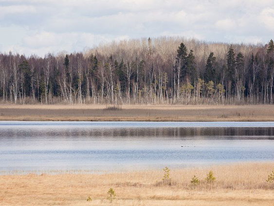 Hollandse Nieuwe! Laula! van Ornstein/Fentross/Tegelmann, deel II: ontmoeting