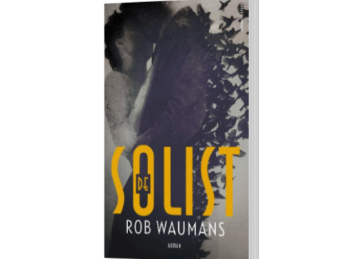 Het gesprek - Rob Waumans