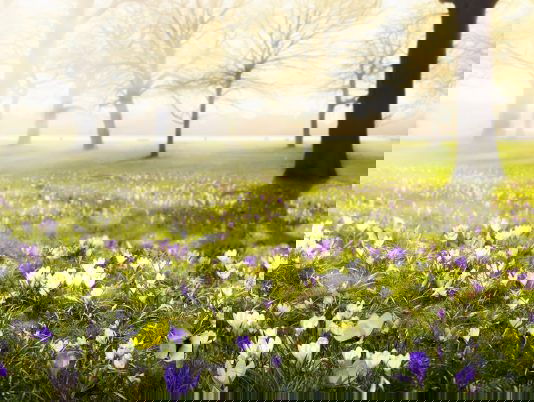 Gedicht: Anders, van Tom van Deel