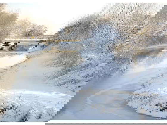 Gedicht: Politiek gedicht, dat zijn best doet om haat en geweld op te roepen, van Rodaan al Galili