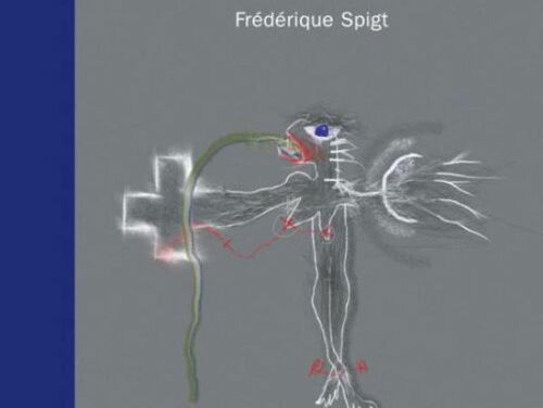 Het gesprek - Frédérique Spigt