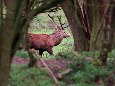 Het weekend van Hans-Erik Kuypers