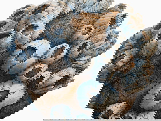 Museumtip: Getekend door de Zee