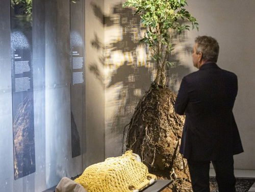 Museumtip: (Re)design Death