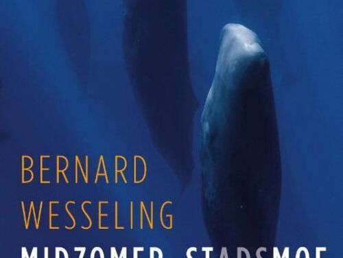 Het gesprek - Bernard Wesseling
