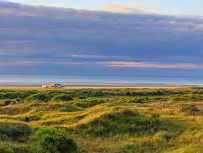 Caspar Vos over kamermuziekfestival Schiermonnikoog en bellen met Koornetwerk Nederland