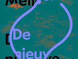 Het gesprek - Eva Meijer