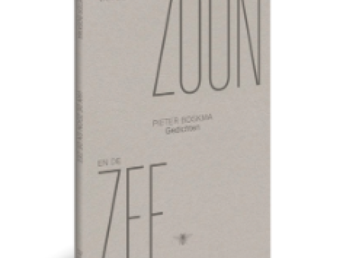 Het gesprek - Pieter Boskma