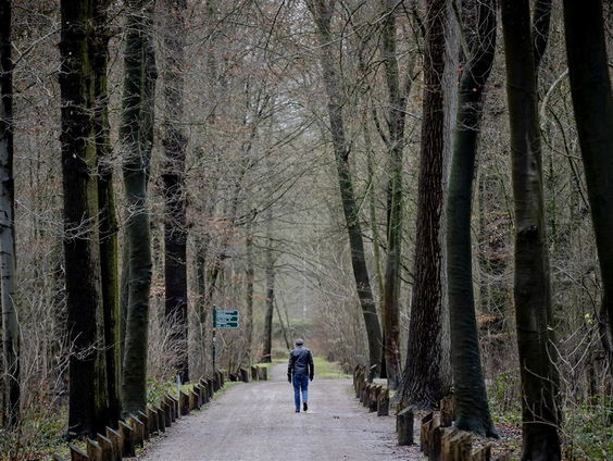 Voor verbreding van de A27 moet een deel van natuurgebied Amelisweerd verdwijnen