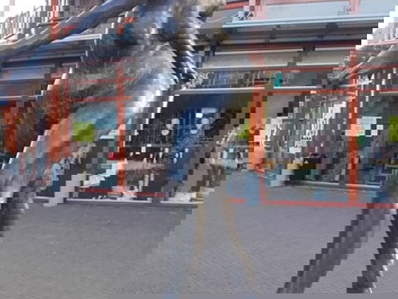 De buitenkunstverkiezing: Regio Zuid