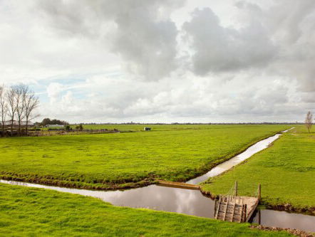 19:05 Gedicht: De polder, van Truus Gerhardt