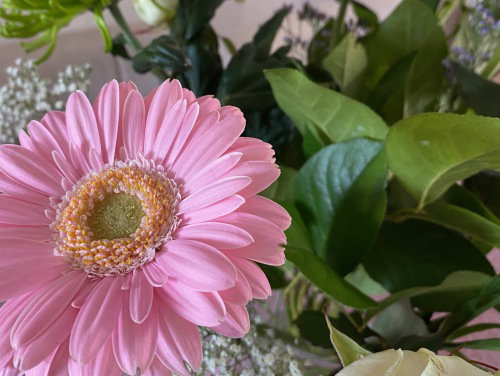 Thuiszorgmedewerkers steken alleenstaande ouderen een hart onder de riem