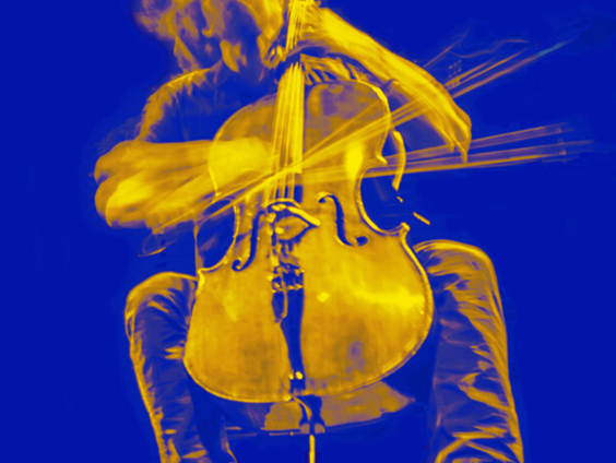 Maarten Mostert over de Cellobiennale