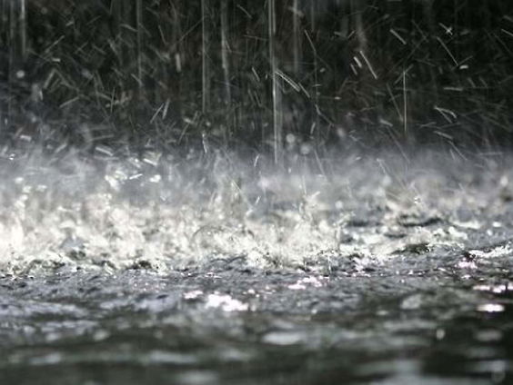 Gedicht: De regen en de regen, van Leo Vroman