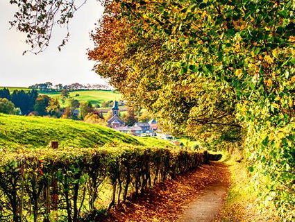 Poëzie: Fanfare & Geruis van Pierre Kemp