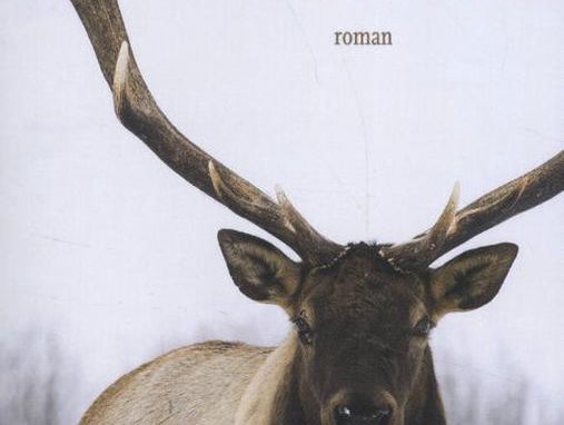 Het gesprek - Lot Vekemans