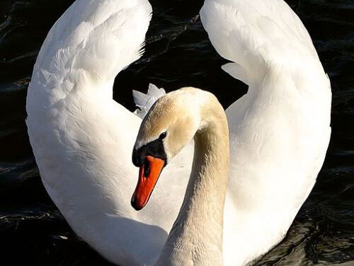 19:15 Gedicht: Brief aan mijn moeder, van Frank Koenegracht