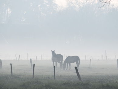 19:13u Gedicht: Januari, van Bob Ott