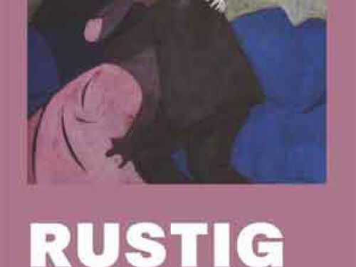 Het gesprek - Joost de Vries