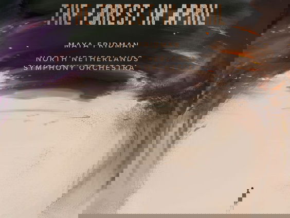 Jan-Peter de Graaff over zijn nieuwe cd