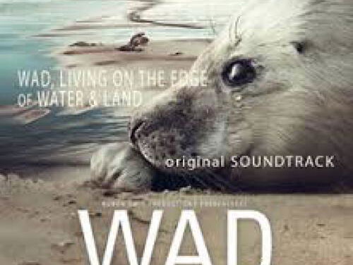 19:30 Hollandsche Nieuwe! WAD de soundtrack, van Martin Fondse/4