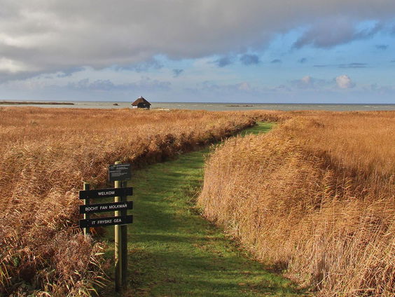 Gedicht: Voorbij de bocht in de weg, van Fernando Pessoa