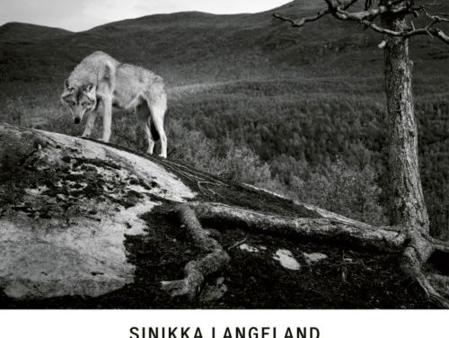 Podium op Zaterdag UITGELICHT