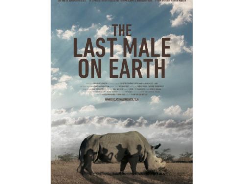 Het gesprek - Floor van der Meulen