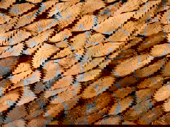 Lekkere Track: The Quest for Tonewood