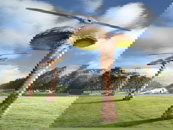 De buitenkunstverkiezing: Regio West