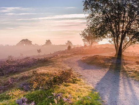 Amy's Schrijf van Vijf