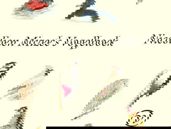 Het gesprek - Nicolien Mizee