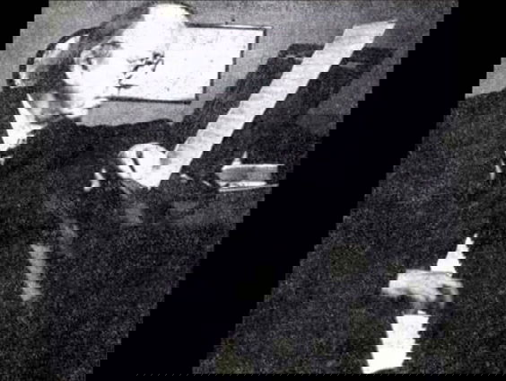 Hollandse Nieuwe! Pan van Novak door Tobias Borsboom, deel IV: Bos