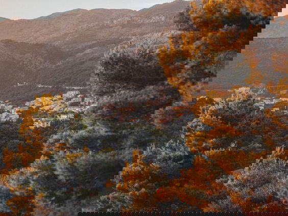 Lekkere Track: Wegdromen naar de balkan