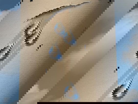 De buitenkunstverkiezing: Regio Zuid