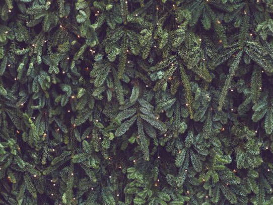 Lekkere Track: Vergankelijkheid