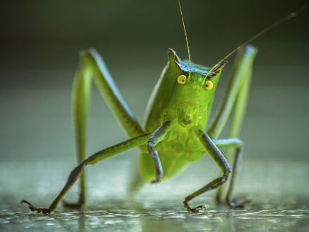 Lekkere Track: Giuseppe Verdi - Aida Akte III