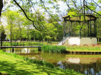 19:05 Gedicht: Ode aan een boom in het Vondelpark, van Vasalis