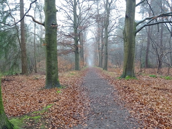 De Volkomen Ongeordende Tip 400 Van De 21e Eeuw, vervolg