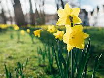 Gedicht: Er zijn - er niet meer zijn, van Marjolijn van Heemstra