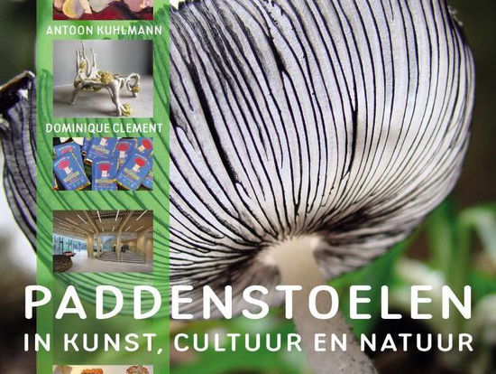 Het gesprek - Antoon Kuhlmann