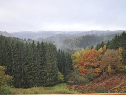 19:15u Hollandsche Nieuwe! Windstreken speelt Hautes Fagnes