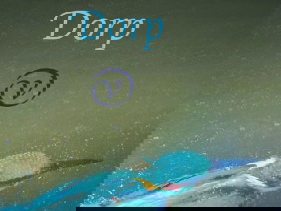 Boek van de Week: Dorp