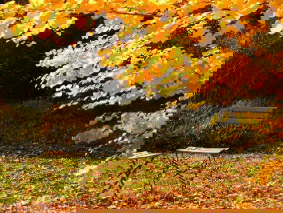 Gedicht: De zomerstoelen, van Elly de Waard