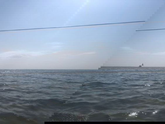 Mooi Moment: De natuur in!