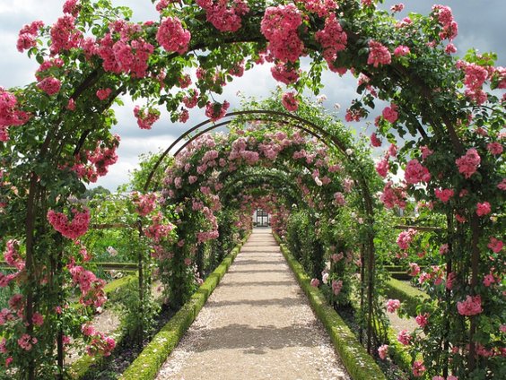 Kettingreactie 26 oktober 2021