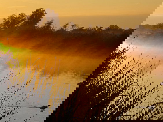 Gedicht: NN van Mischa Andriessen