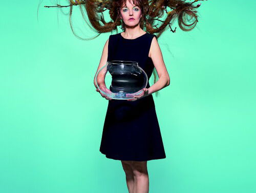 Het gesprek - Sanne Wallis de Vries