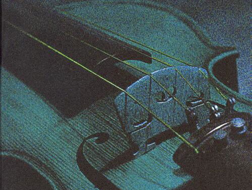 Klassieke Bibliotheek: Vikram Seth - Verwante stemmen